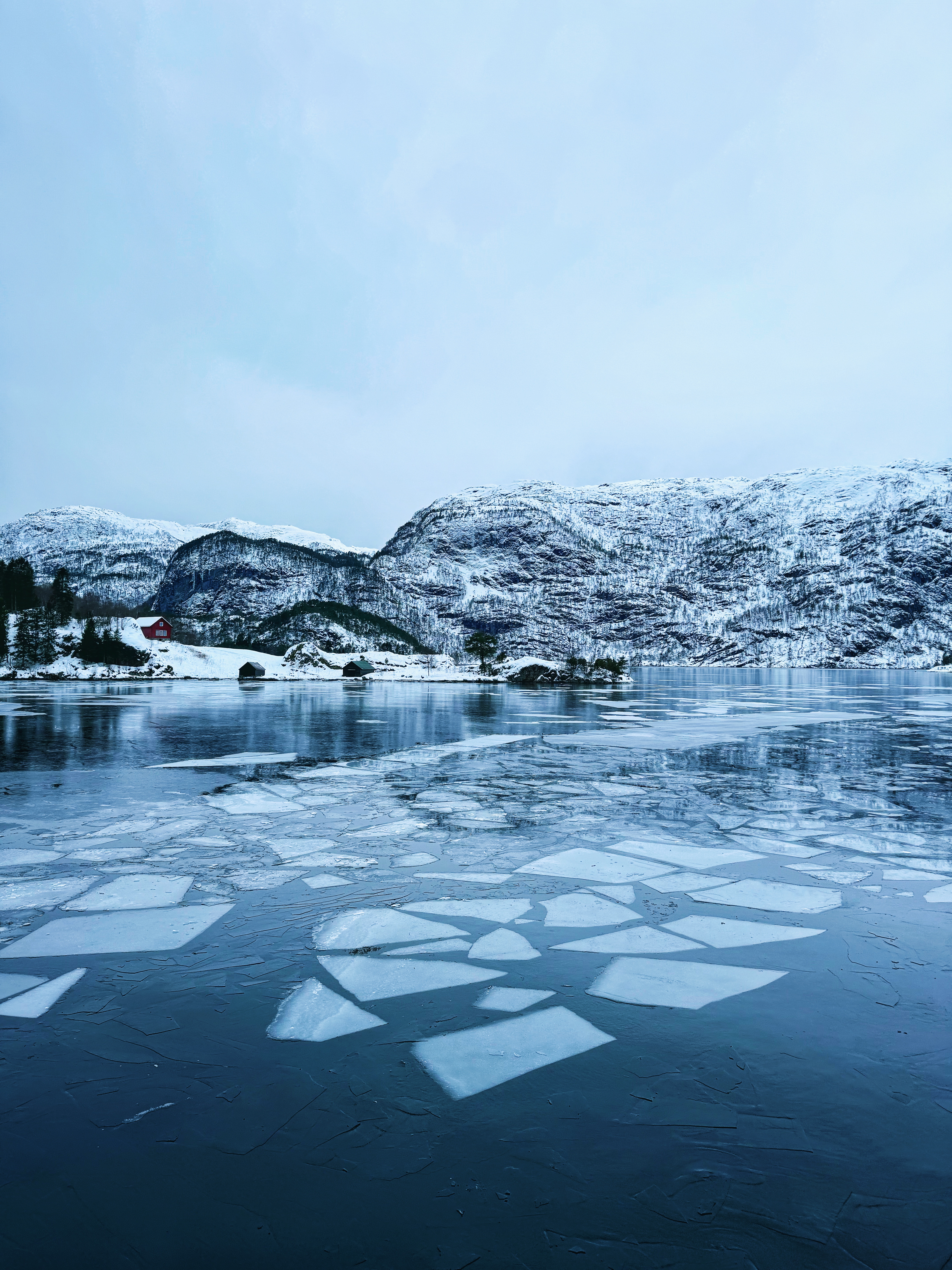 Iced Fjord